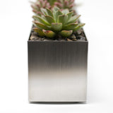 Buhbo Modern Trough Rectangle Planter